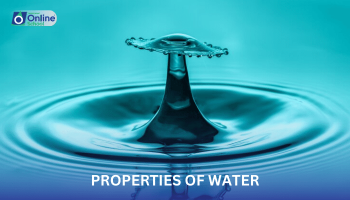 Lesson 04: The Properties of Water